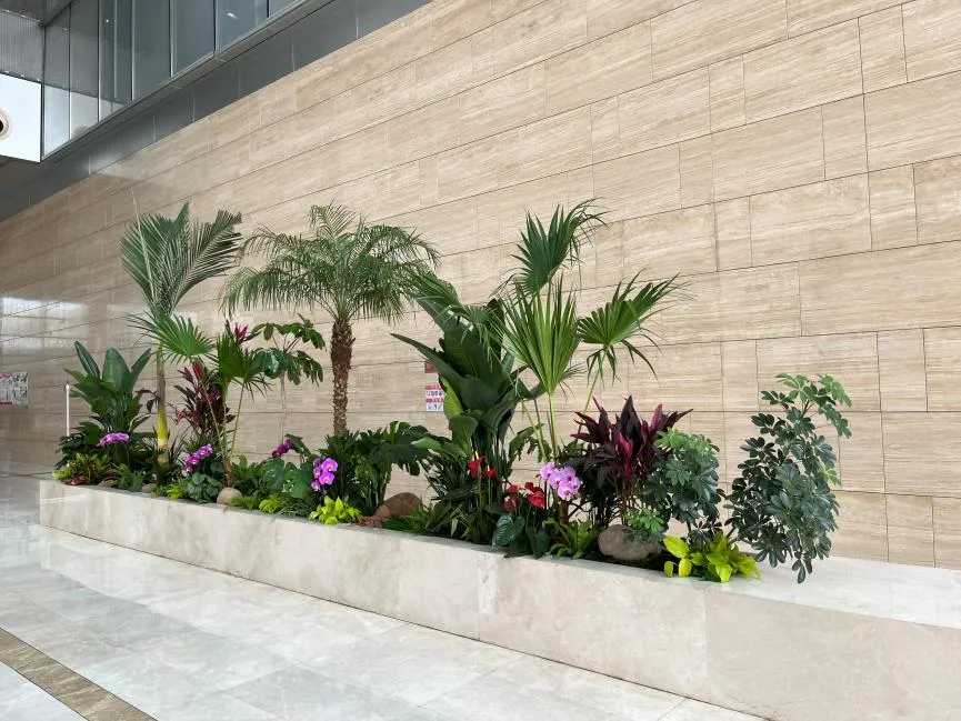 租盆景选宁波鄞州，优质服务超贴心！